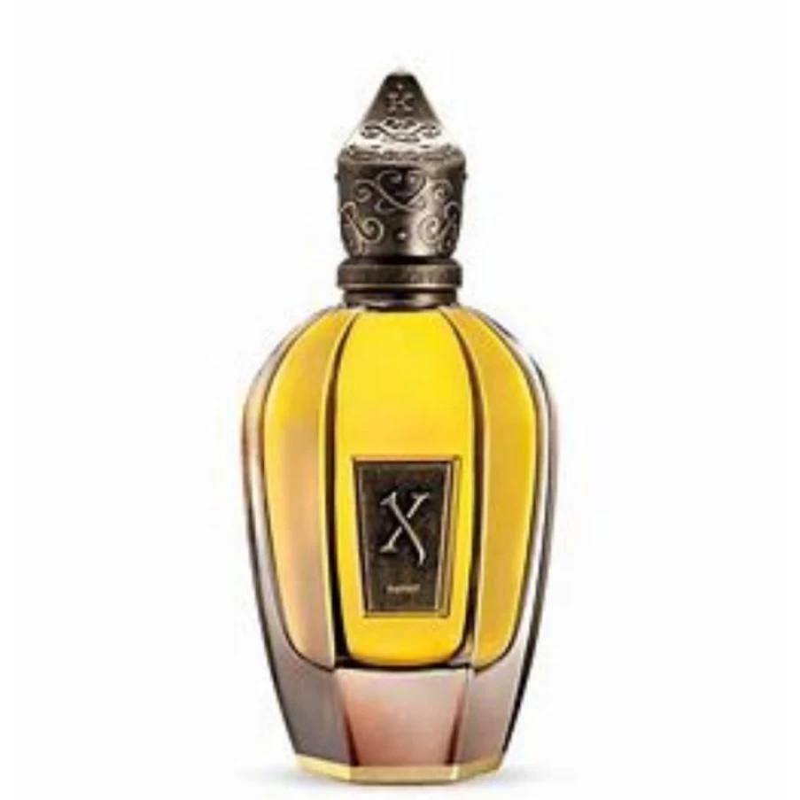 Xerjoff Hayat Luxury Perfume for Men & Women - Long-Lasting Scent